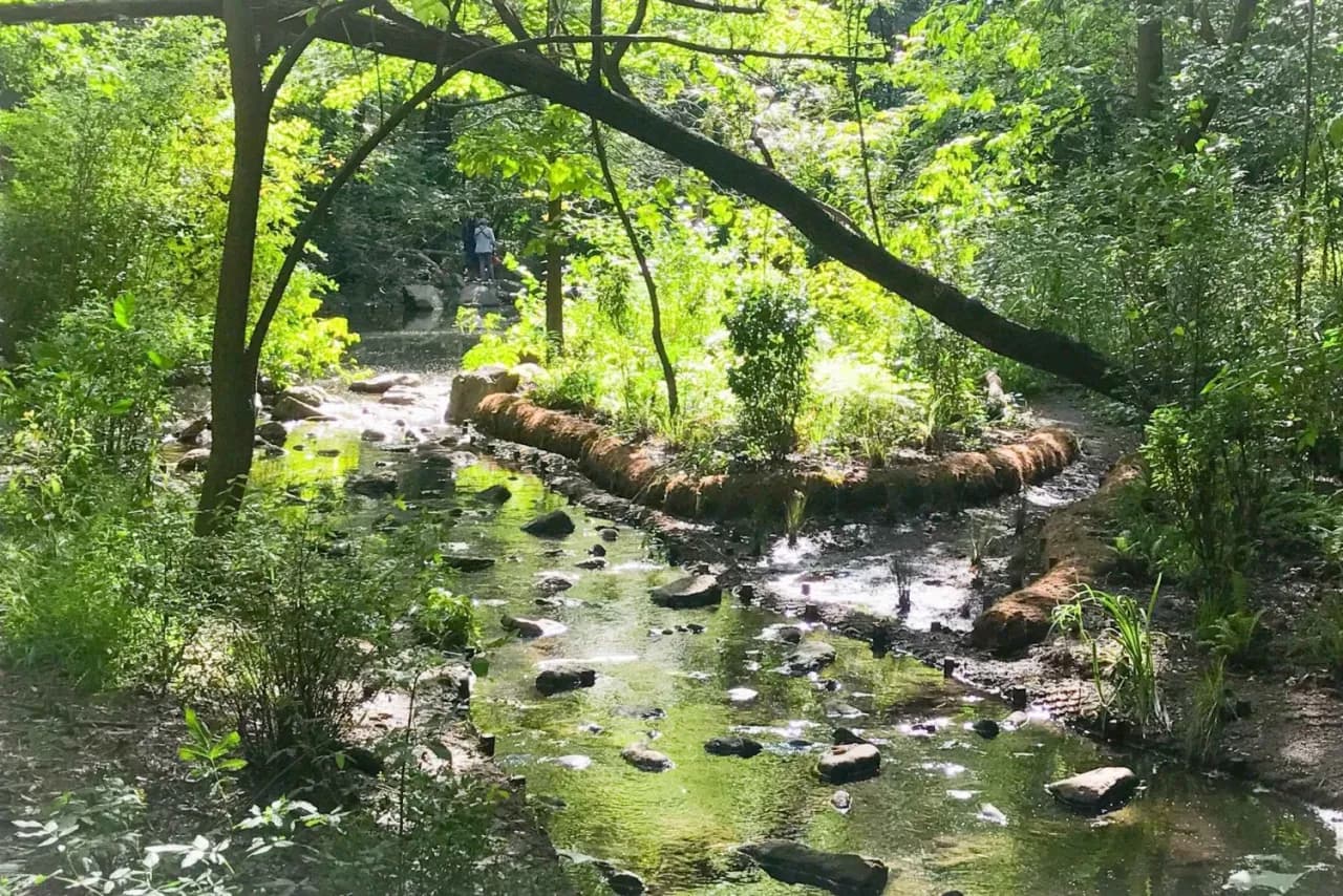 Central Park atrakcje: odkryj ukryte skarby i popularne miejsca Central Park atrakcje: odkryj ukryte skarby i popularne miejsca