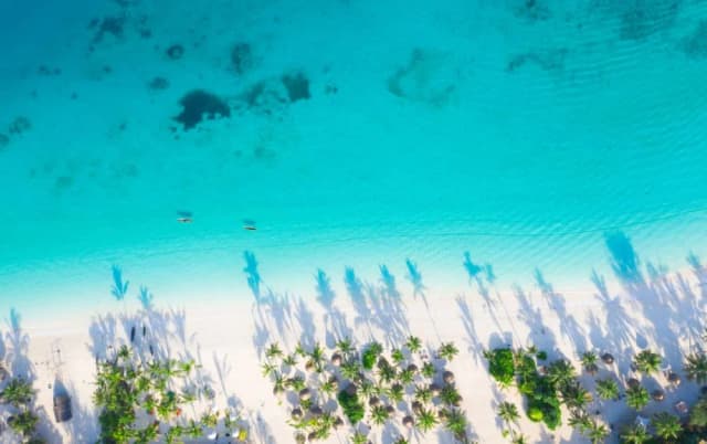 Ile trwa lot z Polski na Zanzibar? Sprawdź najważniejsze informacje Ile trwa lot z Polski na Zanzibar? Sprawdź najważniejsze informacje